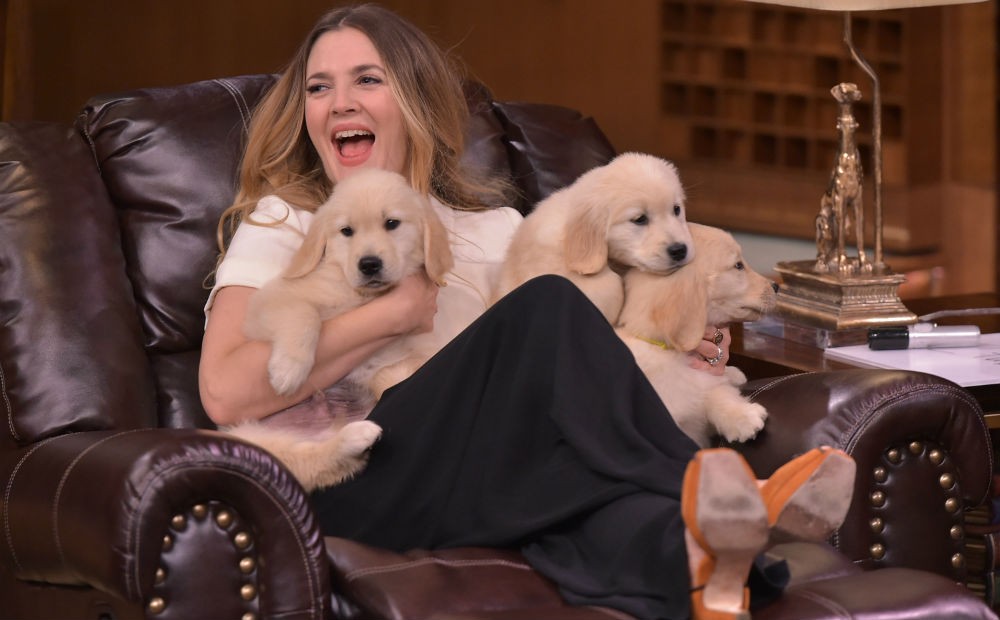 Drew Barrymore en puppy's