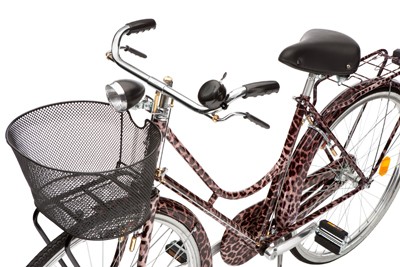Dolce  Gabbana Bicycle (9)