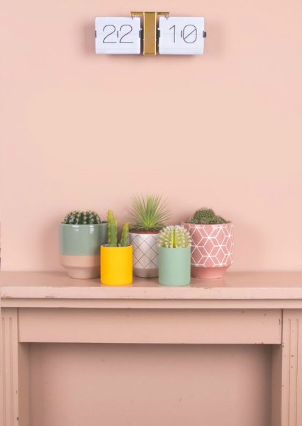 roze eyecatchers voor in huis - Roze muur met cactussen