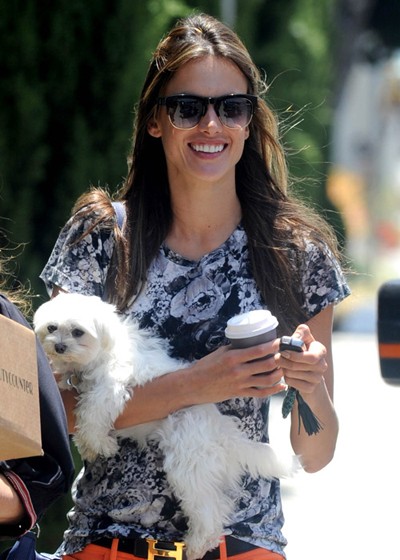Alessandra Ambrosio holds her puppy and pays the meter in LA