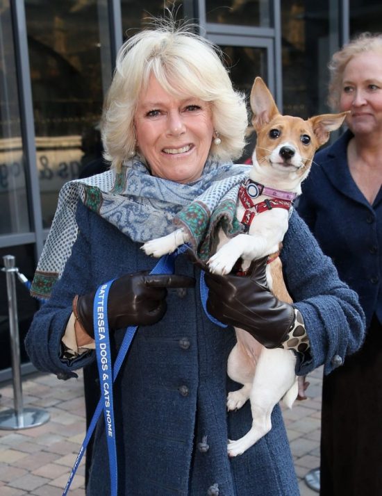 engeland_camilla_70_bluebell_2012_gi