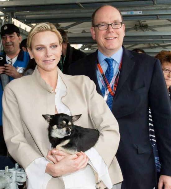honden_charlene_monte_pp