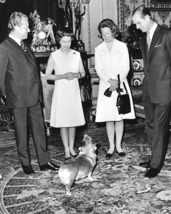 huisdieren_corgi_queen_1972_anp