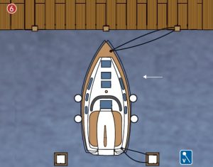 Afbeelding 6