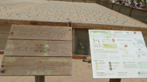 Sailors for Sustainability